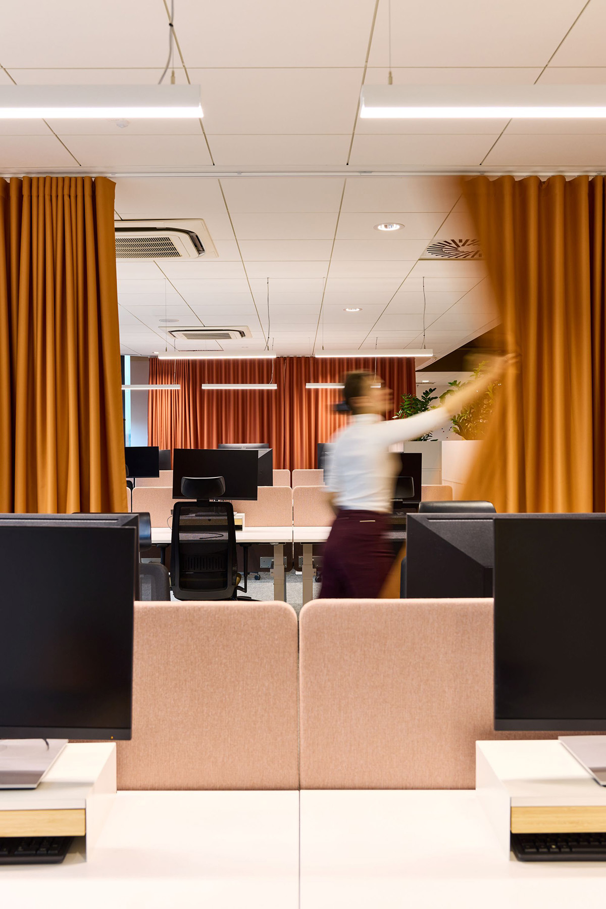 Lipton�ġ�̫�����Ρ����֣���Ĺ�λ�Ǽ����ӵ�̫����