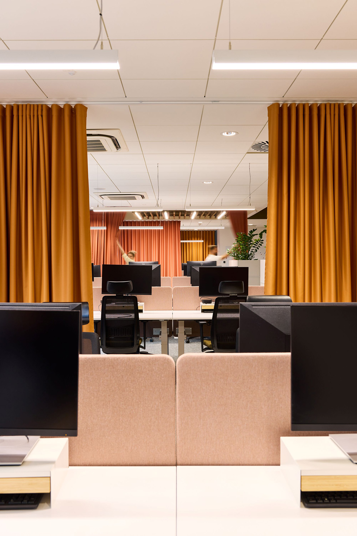 Lipton�ġ�̫�����Ρ����֣���Ĺ�λ�Ǽ����ӵ�̫����