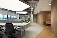 Vivoͨ�Ű����칫 ���Ű칫��