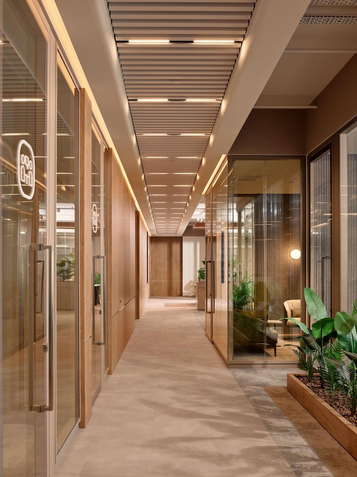 Feyzi ��ó��˹̹�����칫�ң������ʸи߶�����