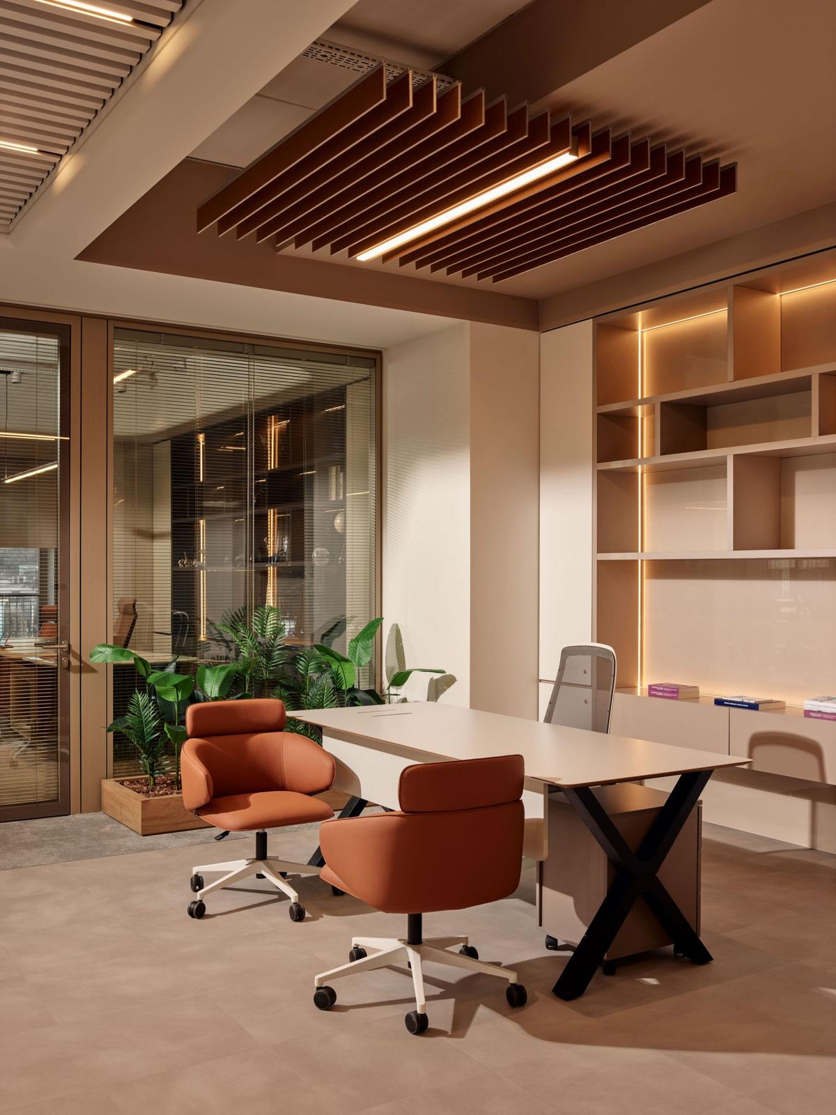 Feyzi ��ó��˹̹�����칫�ң������ʸи߶�����