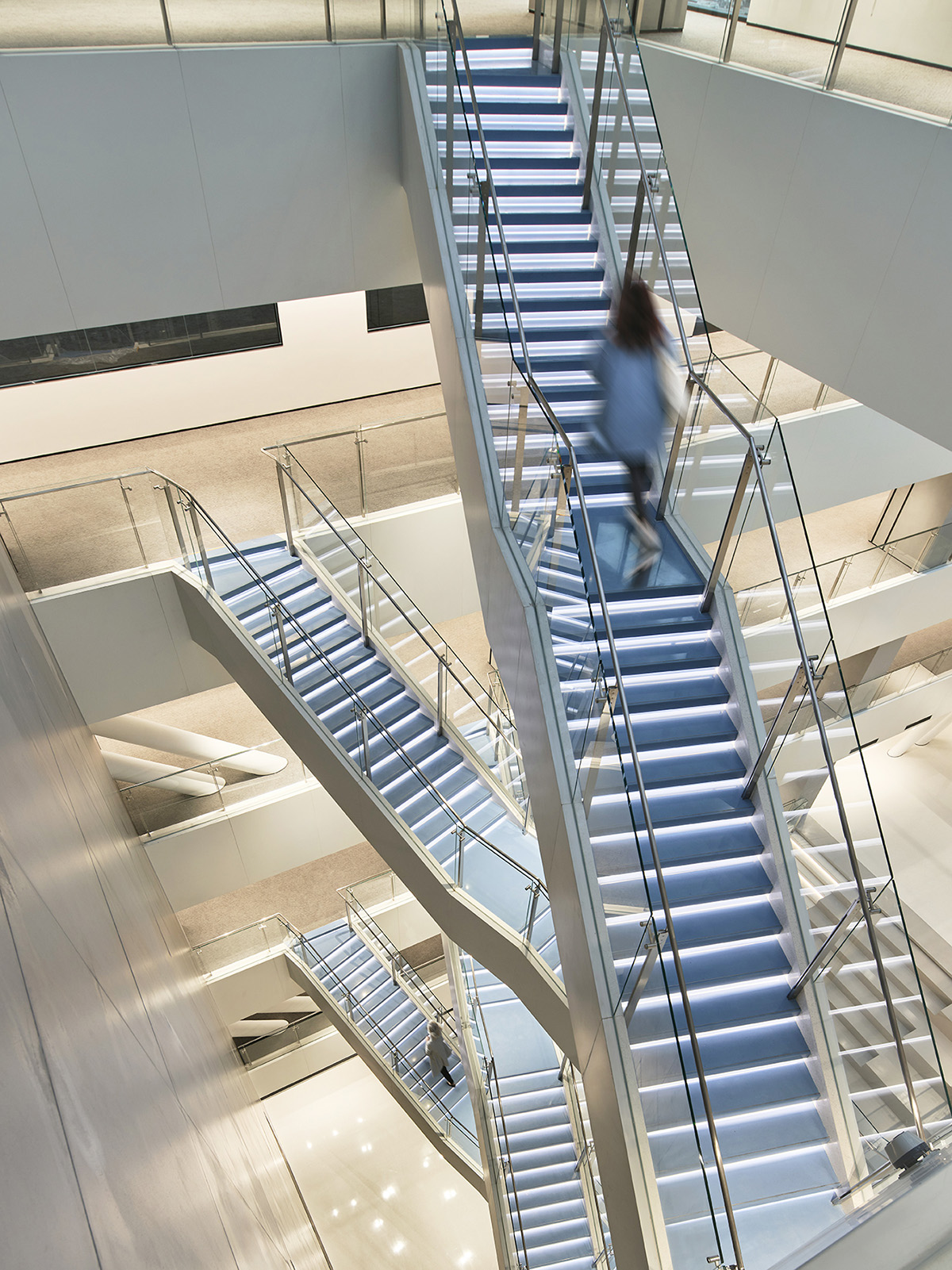 �Ϻ�����ȫ����԰����ɭ��֮�ϵĿƼ���ѧ