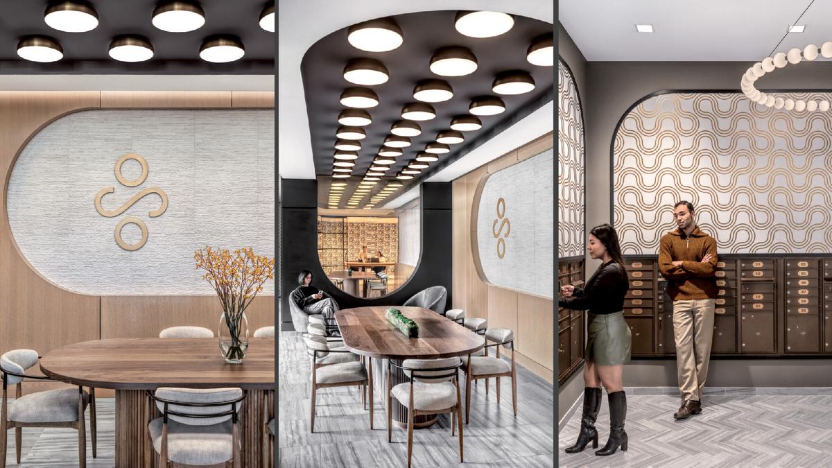 The Clover��Ԣ�������Բ���Ϊ��е�ǰ��ʱ����ѧ