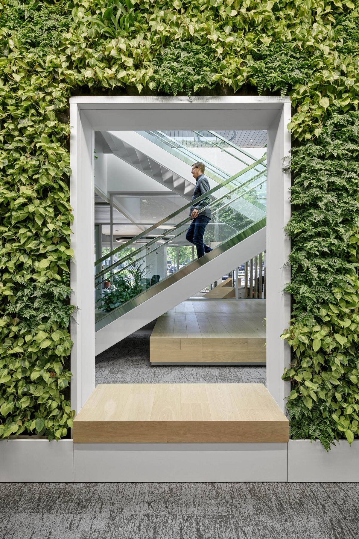 Cadence�ܲ�԰���������죺������ЧЭ����δ���칫