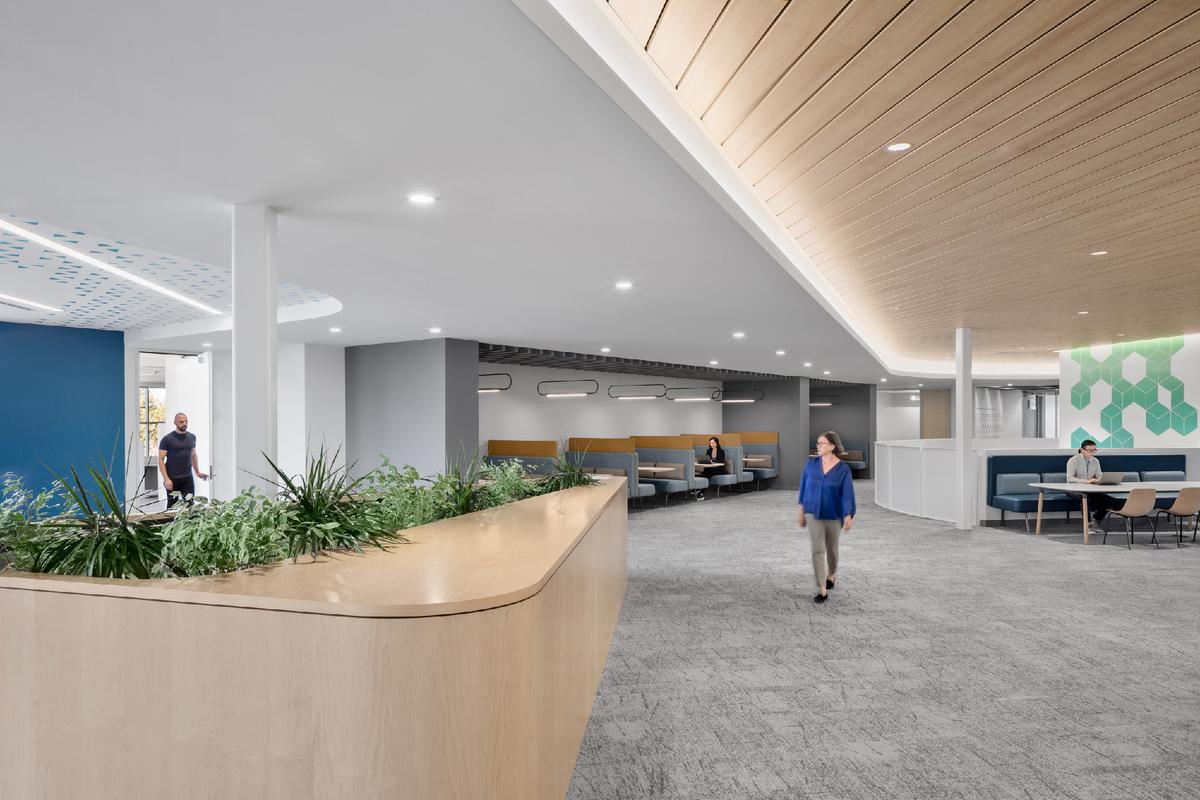 Cadence�ܲ�԰���������죺������ЧЭ����δ���칫