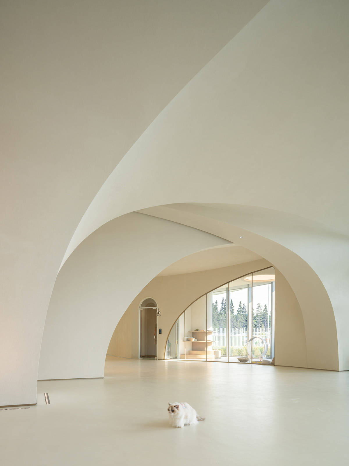 ��Ϸ��˾IGG �������˴��ã�����ʵ�볬��ʵ֮��