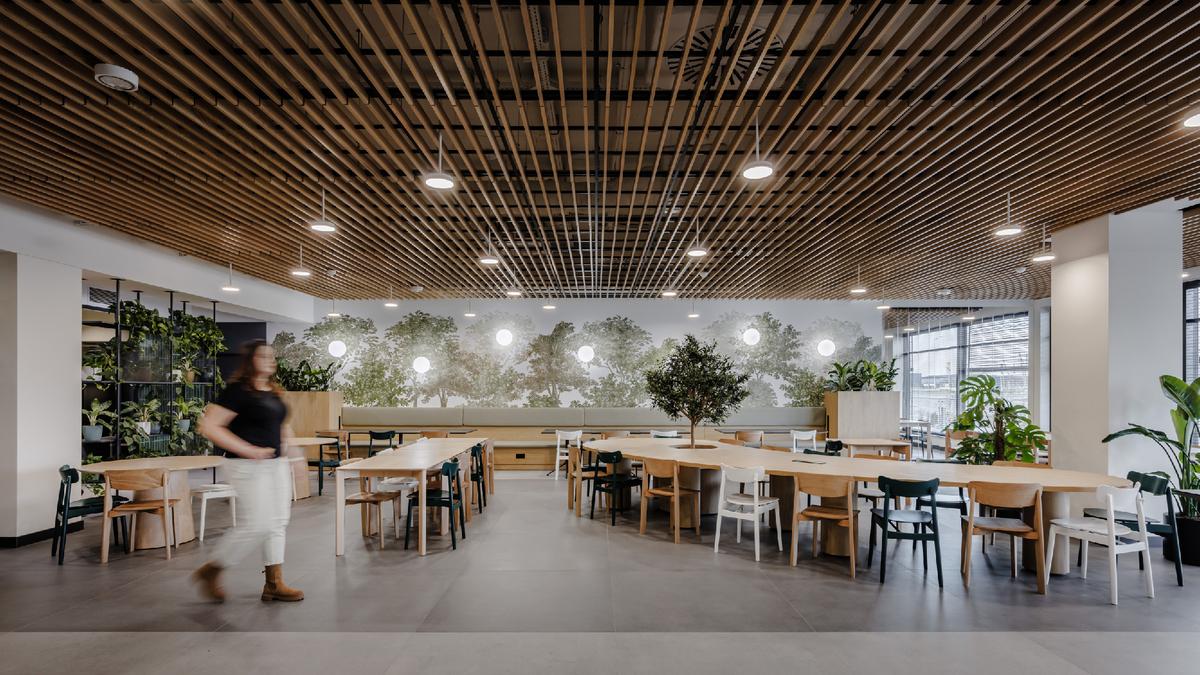 �¹���������Trilux������������ҵ�칫�ҵ���ѧ����