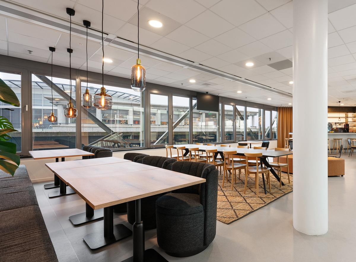 ����House of Redmore���칫��Ӧ���������ų�