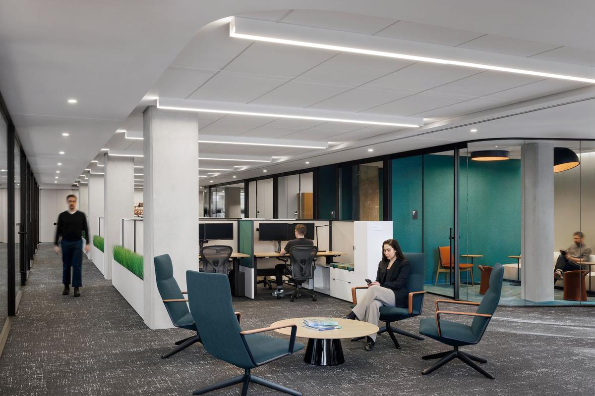 ŦԼDC37�����ܲ�������ʷ����������ʱ�а칫��ѧ