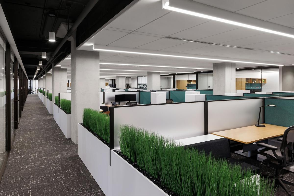 ŦԼDC37�����ܲ�������ʷ����������ʱ�а칫��ѧ