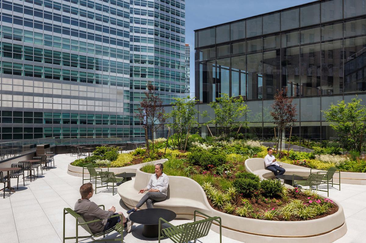 ŦԼDC37�����ܲ�������ʷ����������ʱ�а칫��ѧ