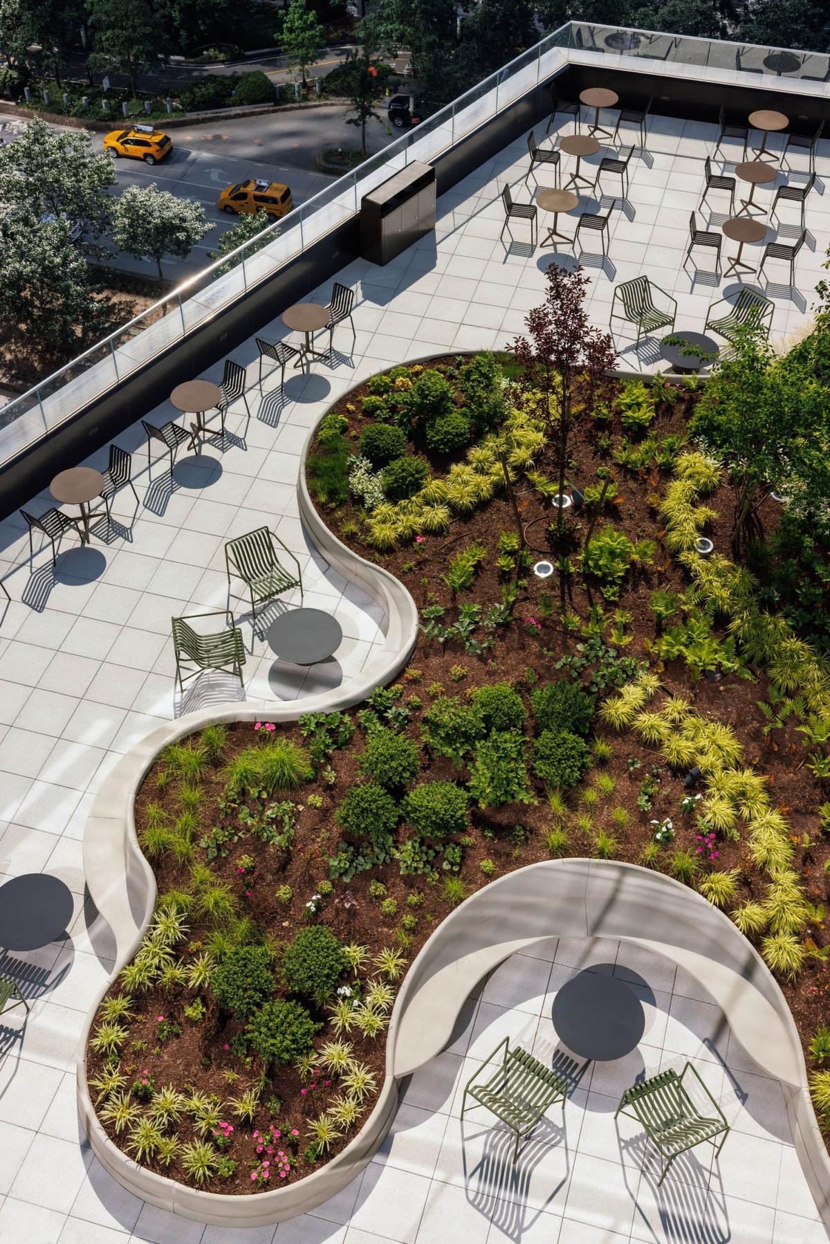 ŦԼDC37�����ܲ�������ʷ����������ʱ�а칫��ѧ