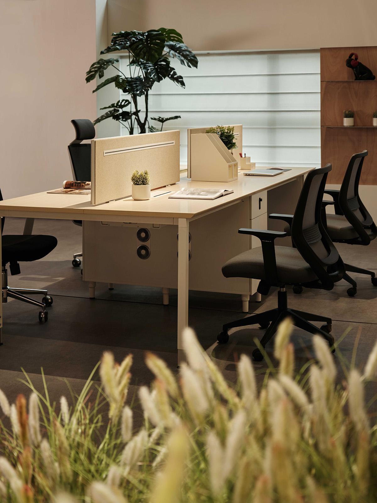 EMSUN ���пͻ����ģ�������Ĺ���