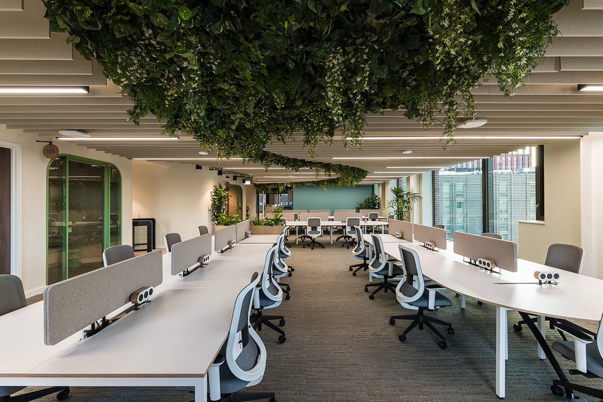 ���¥������������꣺�ƶ�����Virgin Media O2��ϰ칫��Ʋ��