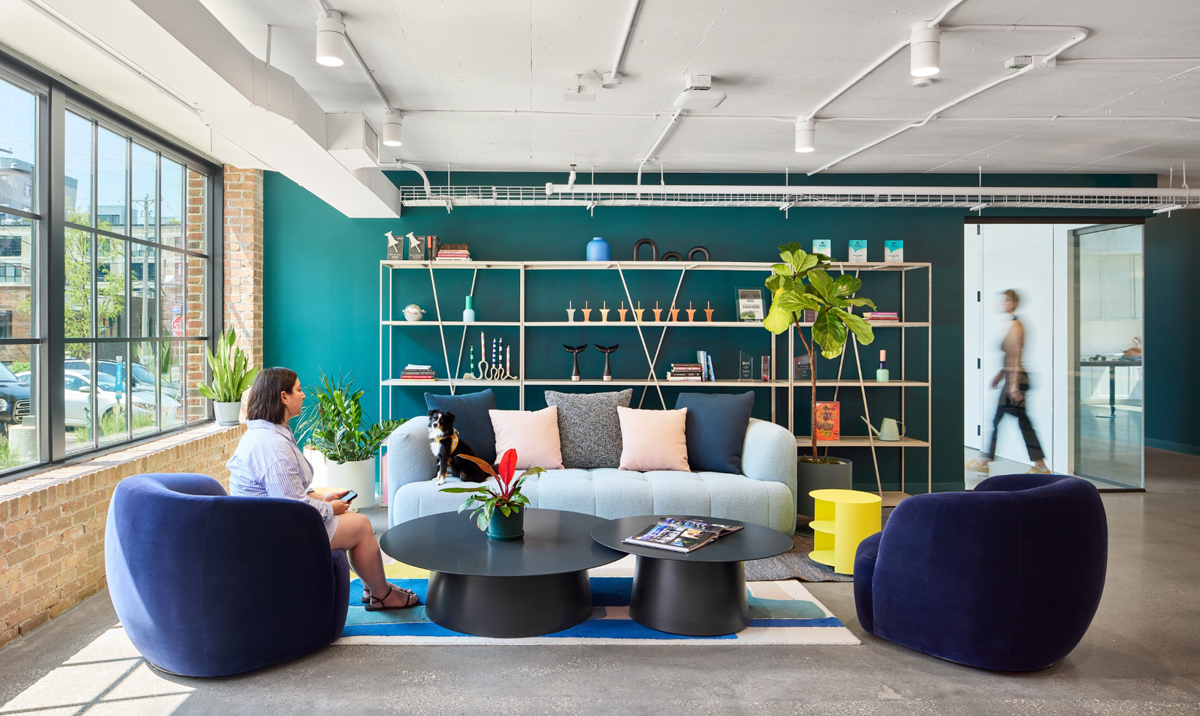 ��������Ϊ���������罻ý��The Social Lights�Ѱ칫�����ɴ���־�