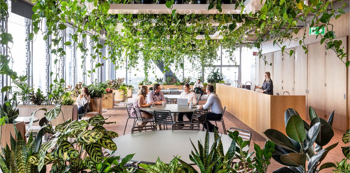 �������ϻ���ART����˹���ܲ���14��ռ������ʷ��δ��