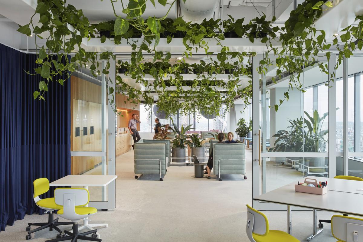 �������ϻ���ART����˹���ܲ���14��ռ������ʷ��δ��