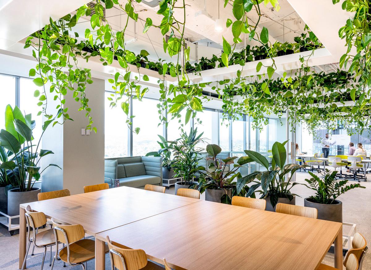 �������ϻ���ART����˹���ܲ���14��ռ������ʷ��δ��