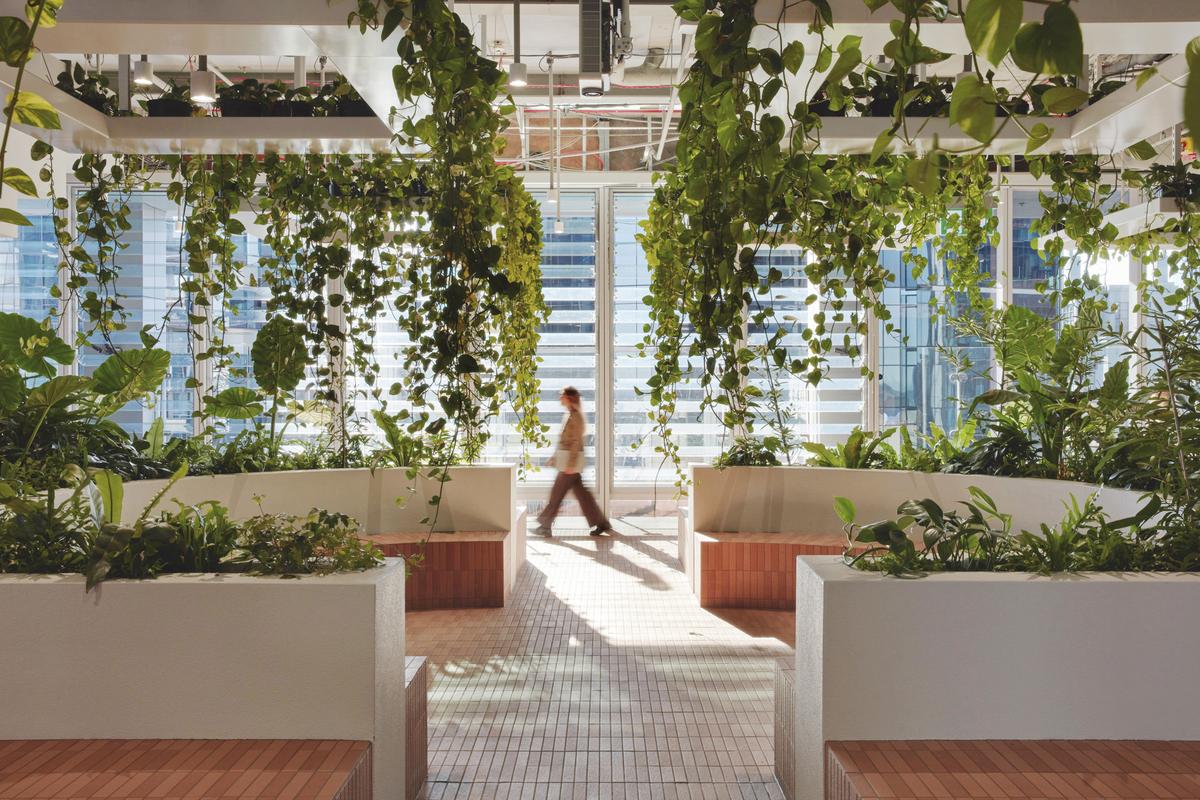 �������ϻ���ART����˹���ܲ���14��ռ������ʷ��δ��