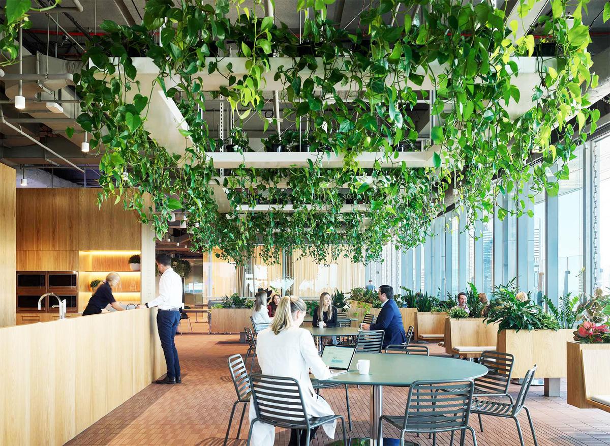 �������ϻ���ART����˹���ܲ���14��ռ������ʷ��δ��