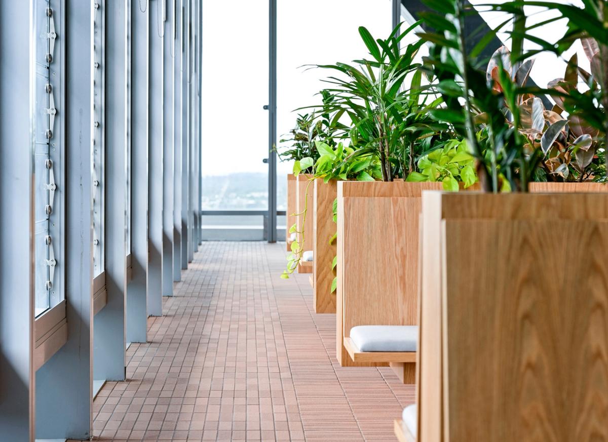 �������ϻ���ART����˹���ܲ���14��ռ������ʷ��δ��