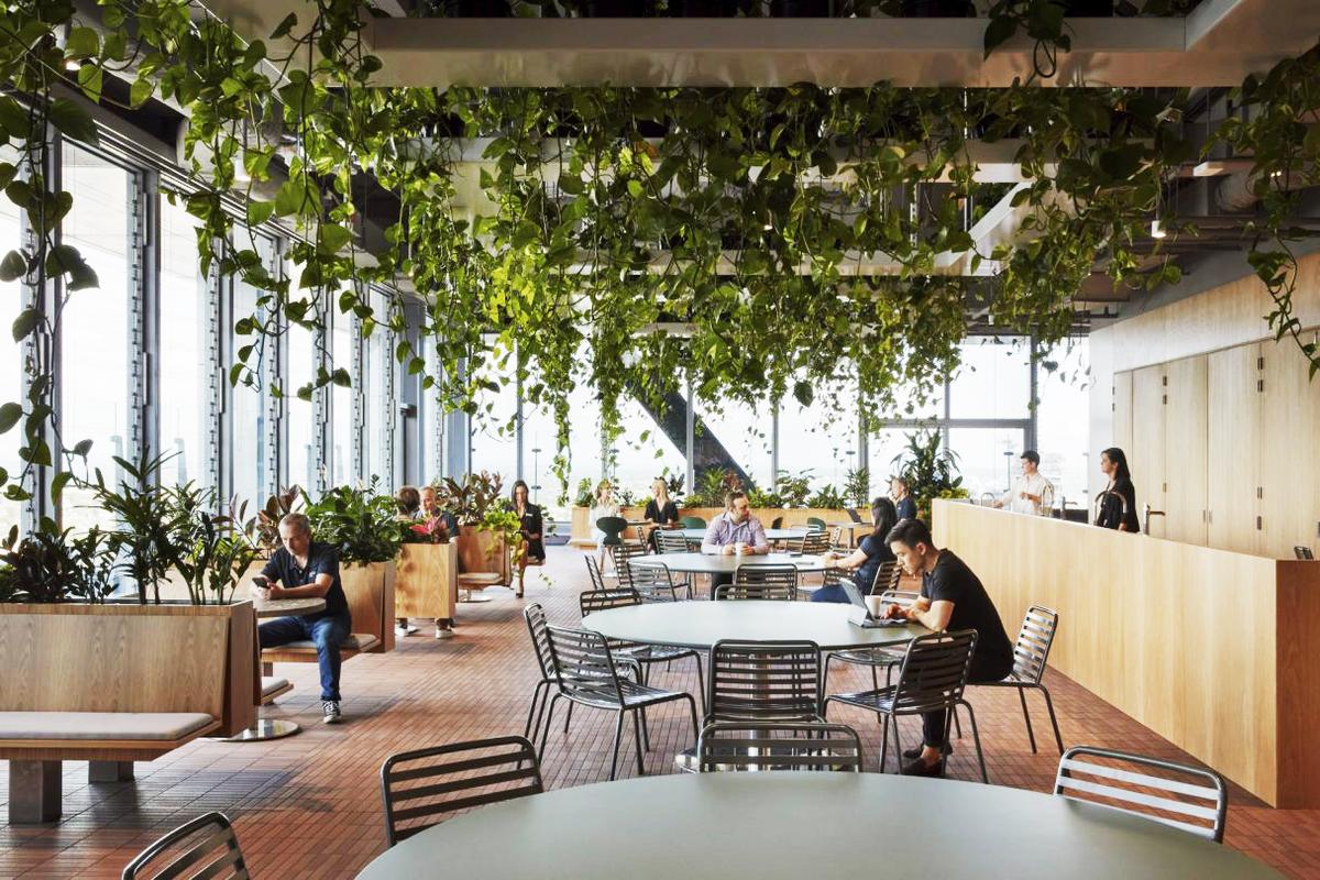 �������ϻ���ART����˹���ܲ���14��ռ������ʷ��δ��