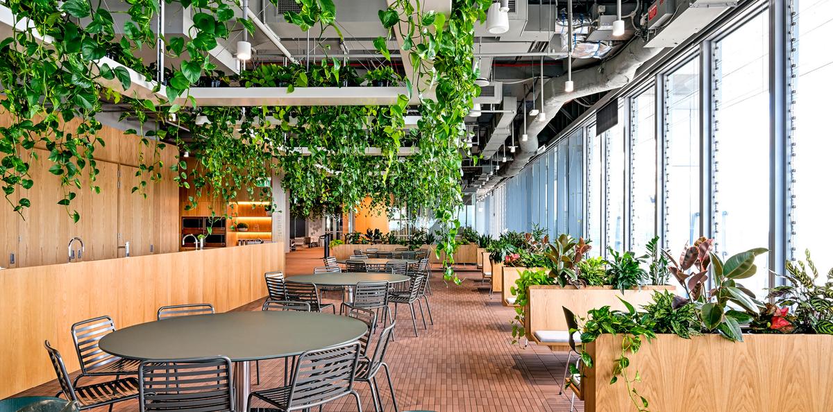 �������ϻ���ART����˹���ܲ���14��ռ������ʷ��δ��