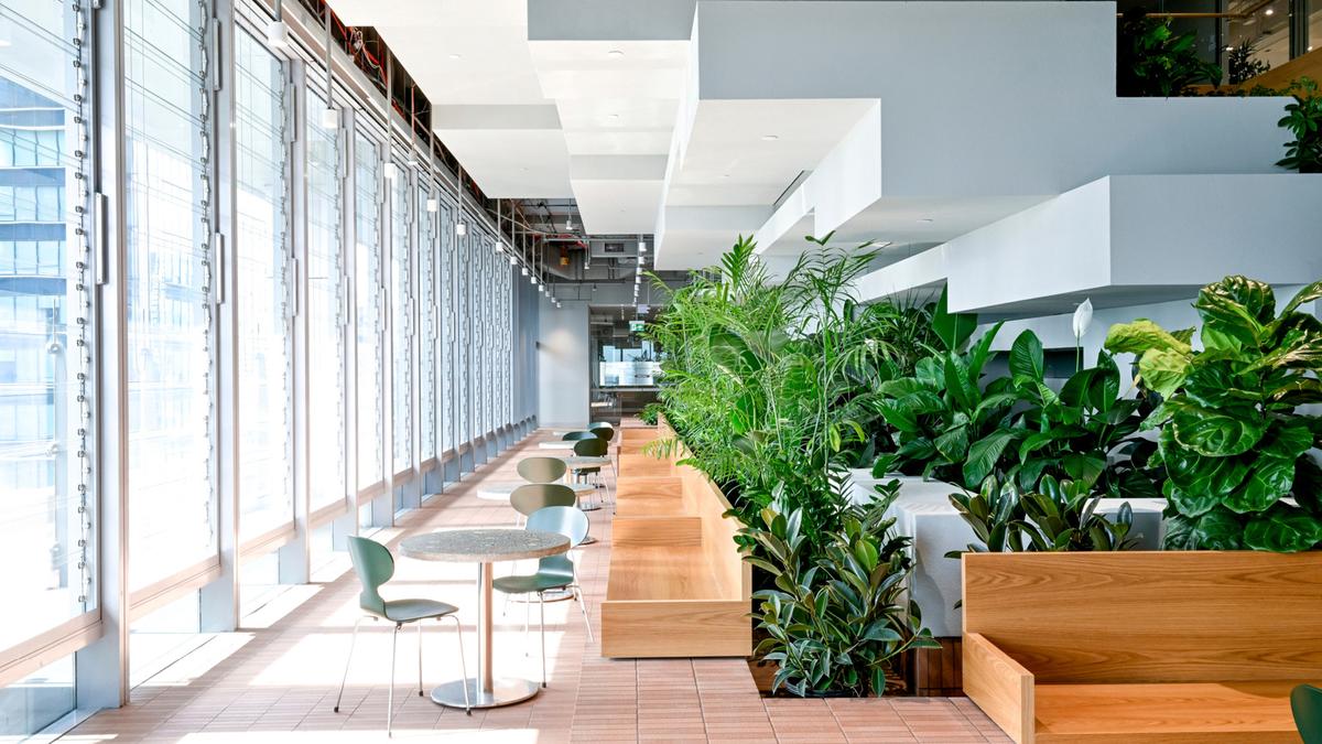 �������ϻ���ART����˹���ܲ���14��ռ������ʷ��δ��