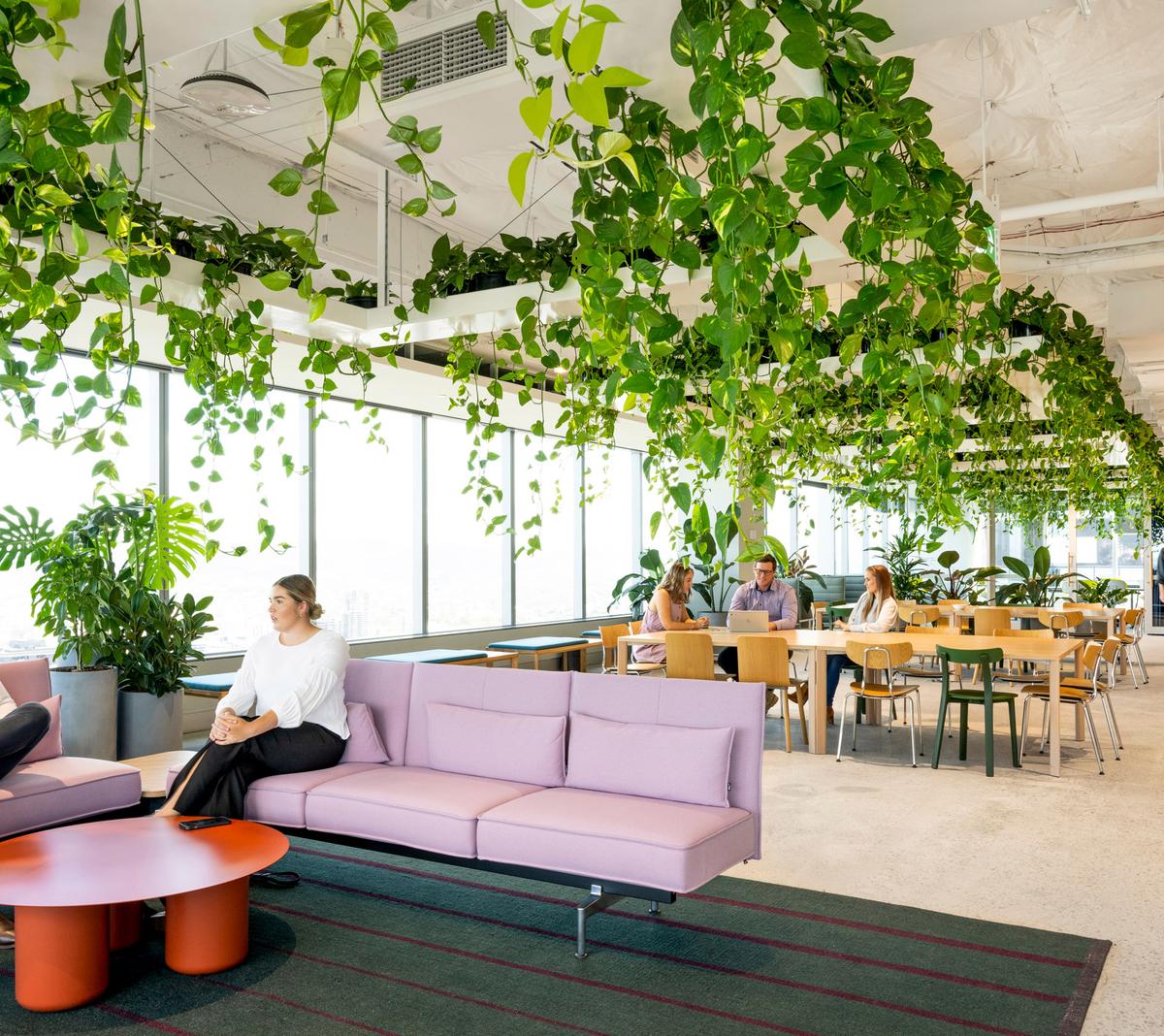 �������ϻ���ART����˹���ܲ���14��ռ������ʷ��δ��