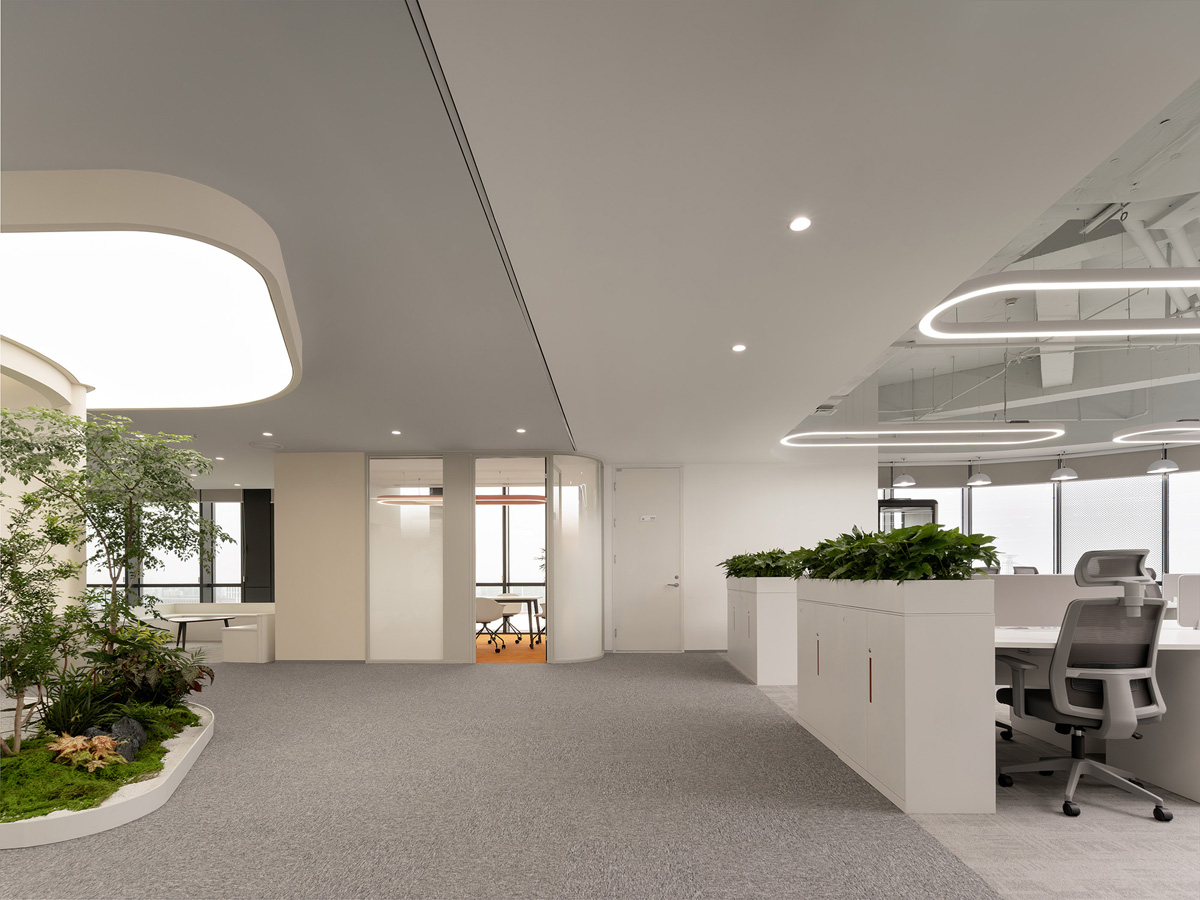 �����ع������Ӷ����ӡ������з��������������罻�򡱵�˫������