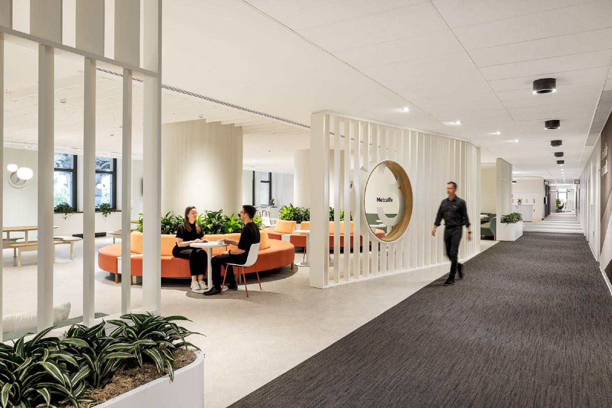 �⡤������������Sun Life�����������������ܲ����