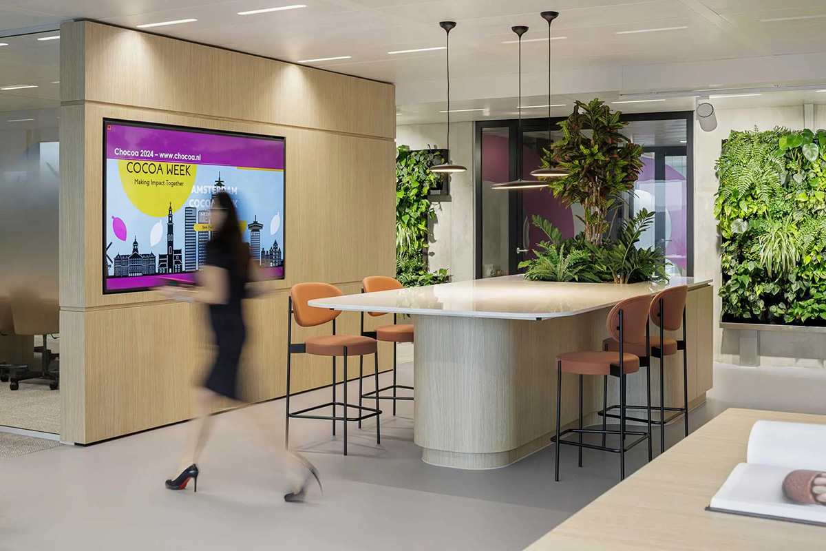 ���70���ϳ�����Ofi ������+�������ܲ��ı���԰�Ǩ