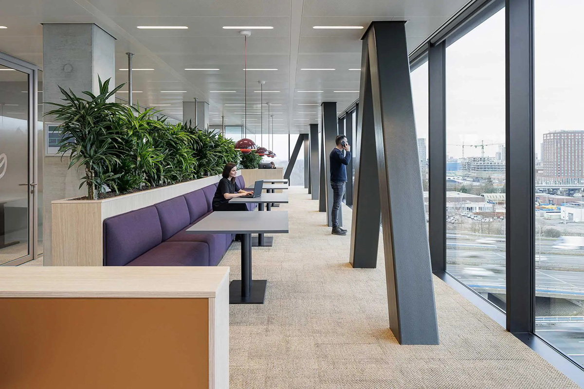 ���70���ϳ�����Ofi ������+�������ܲ��ı���԰�Ǩ