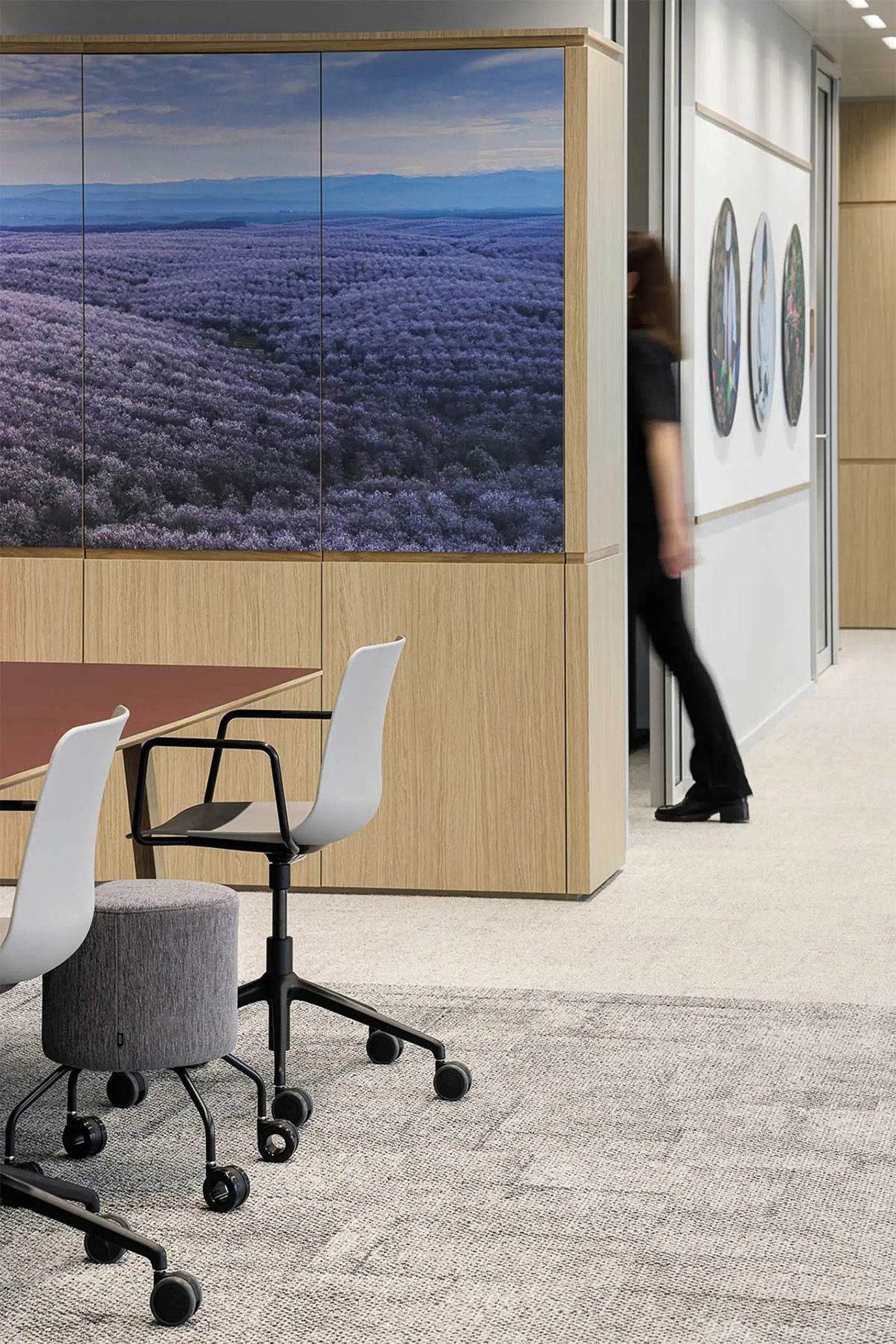 ���70���ϳ�����Ofi ������+�������ܲ��ı���԰�Ǩ