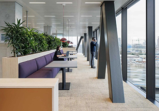 ���70���ϳ�����Ofi ������+�������ܲ��ı���԰�Ǩ