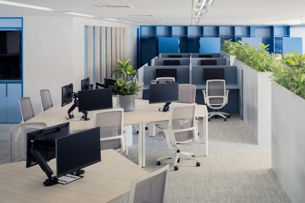 OZMA PR���ض����ܲ����Ͱ��ռ����Ʋ���