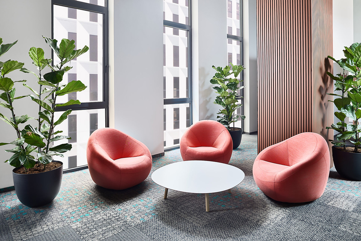 ��ѯ��˾Taskforce˹�������ܲ���ɫ��+��ֲ+���Ų���