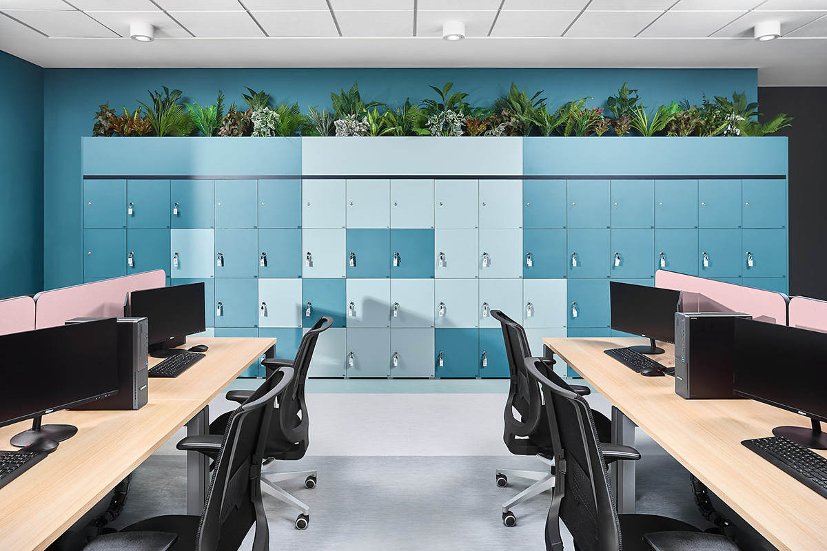 ��ѯ��˾Taskforce˹�������ܲ���ɫ��+��ֲ+���Ų���