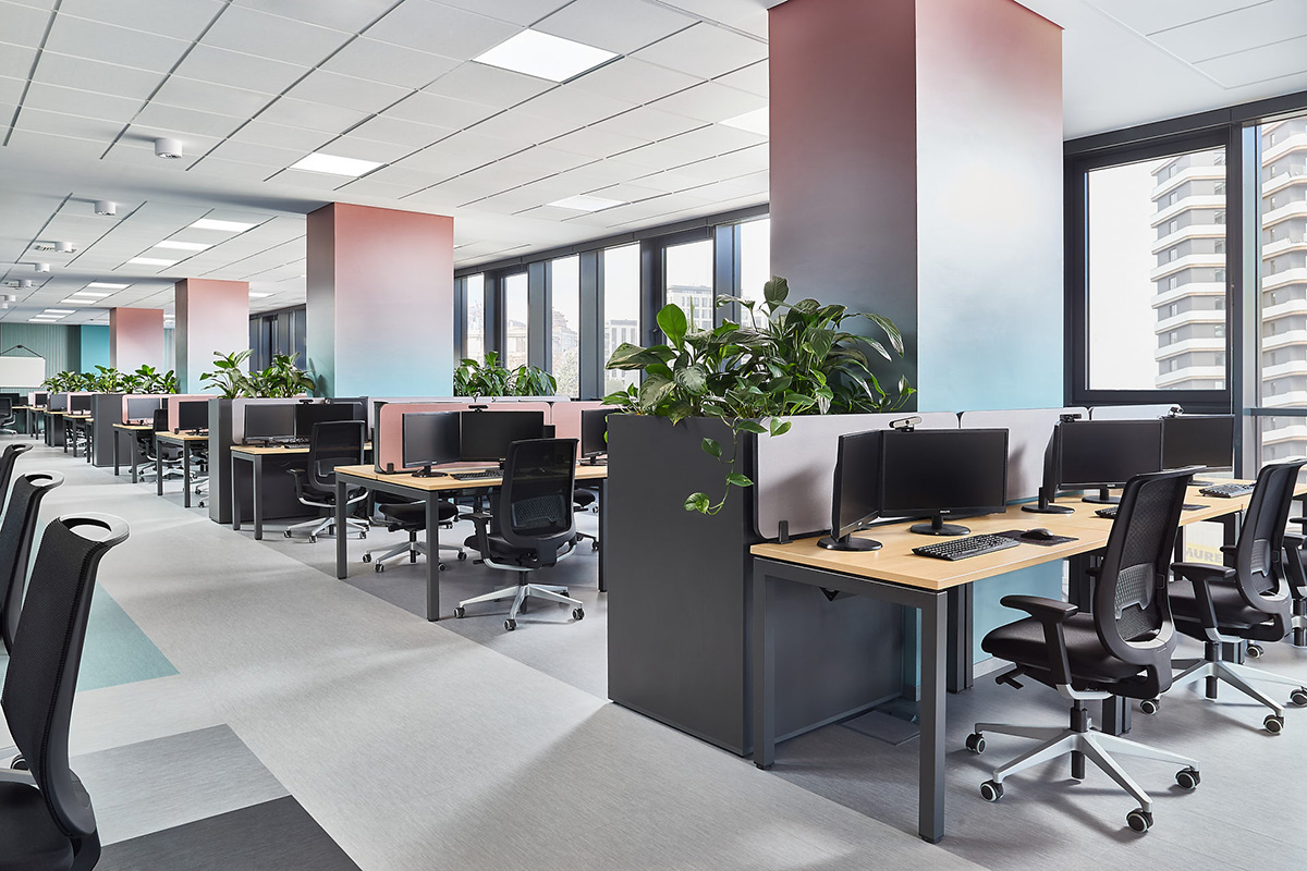 ��ѯ��˾Taskforce˹�������ܲ���ɫ��+��ֲ+���Ų���