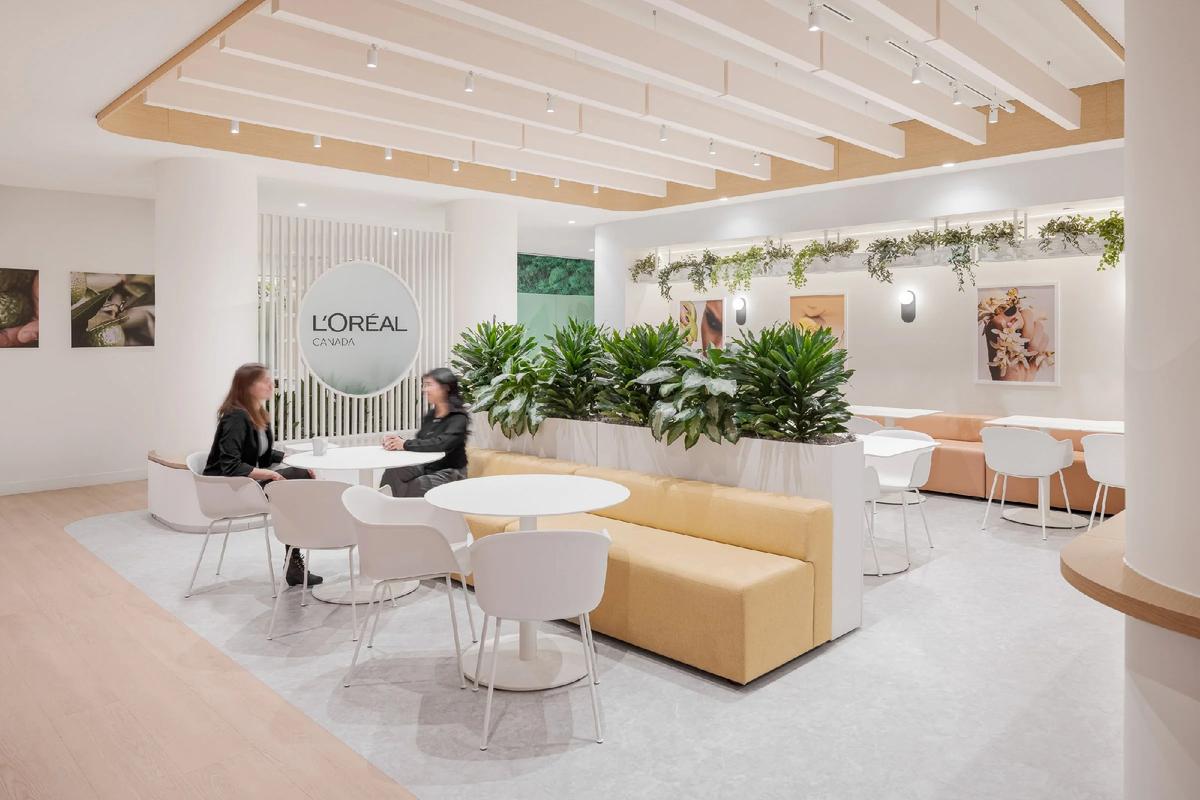 L'Oreal�ܲ������ռ��������죺�ɳ�����Ա����������