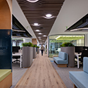 Deloitte���޴������ģ���רע��Э�����ռ��Ӧÿһ�ֹ���״̬