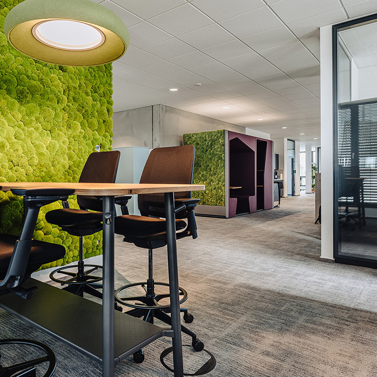 Werner Works��Parkour���ܿᡱ��ʽ������