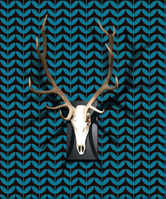 ��ֽ��ƴ������ڲ�ͬ�Ŀռ����