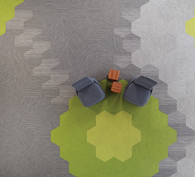 Shaw̺ƷHexagon